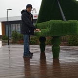 Альберт Сафин